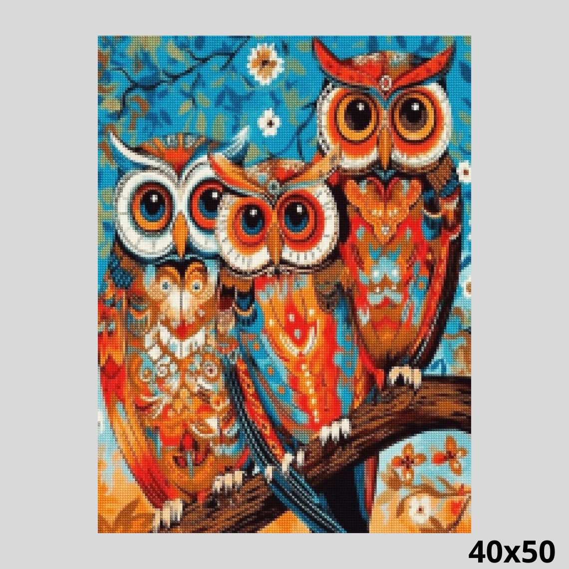Colorful Owls 40x50 Diamond Painting
