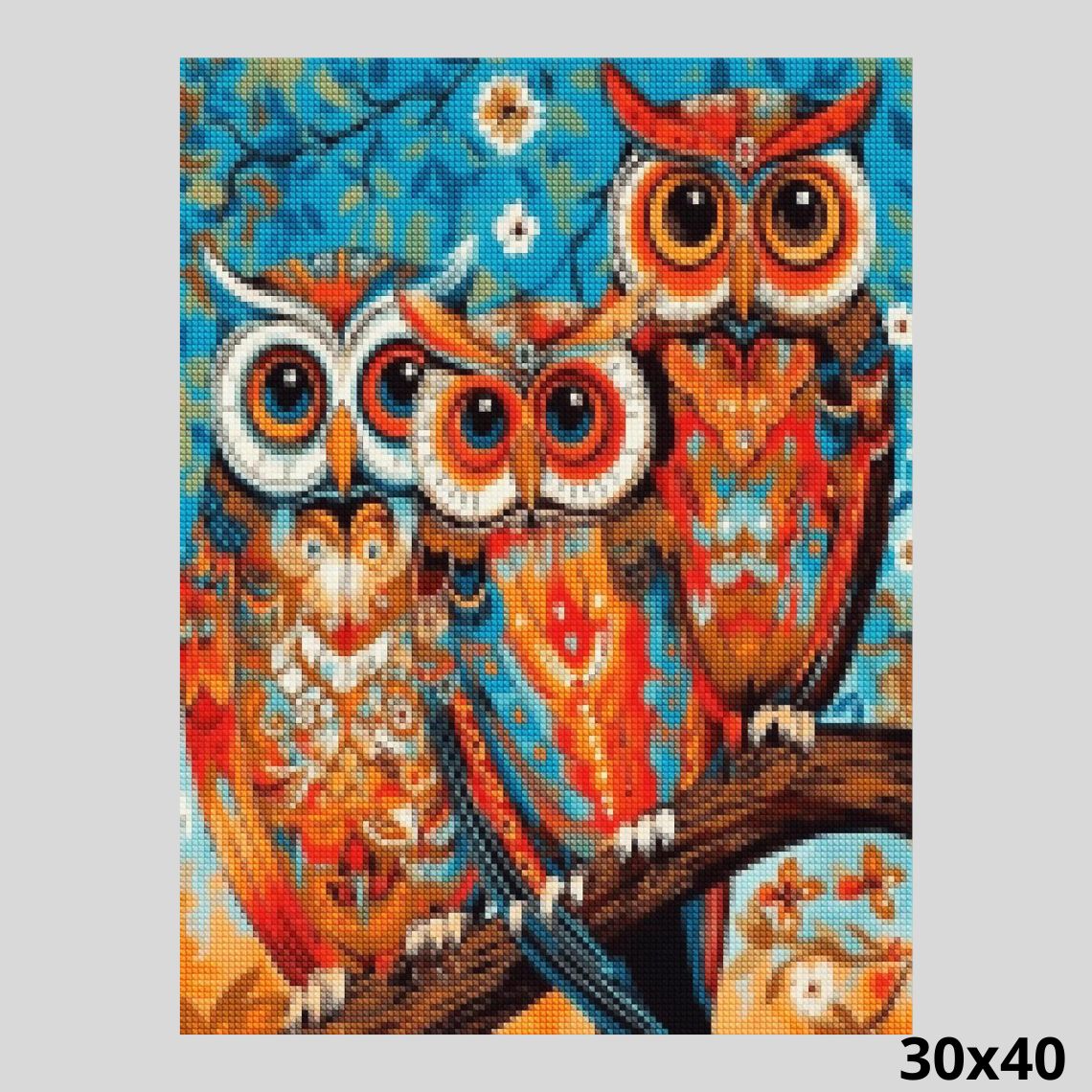 Colorful Owls 30x40 Diamond Painting