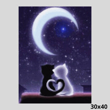 Load image into Gallery viewer, Night of the Cats Love 30x40 - Diamond Painting
