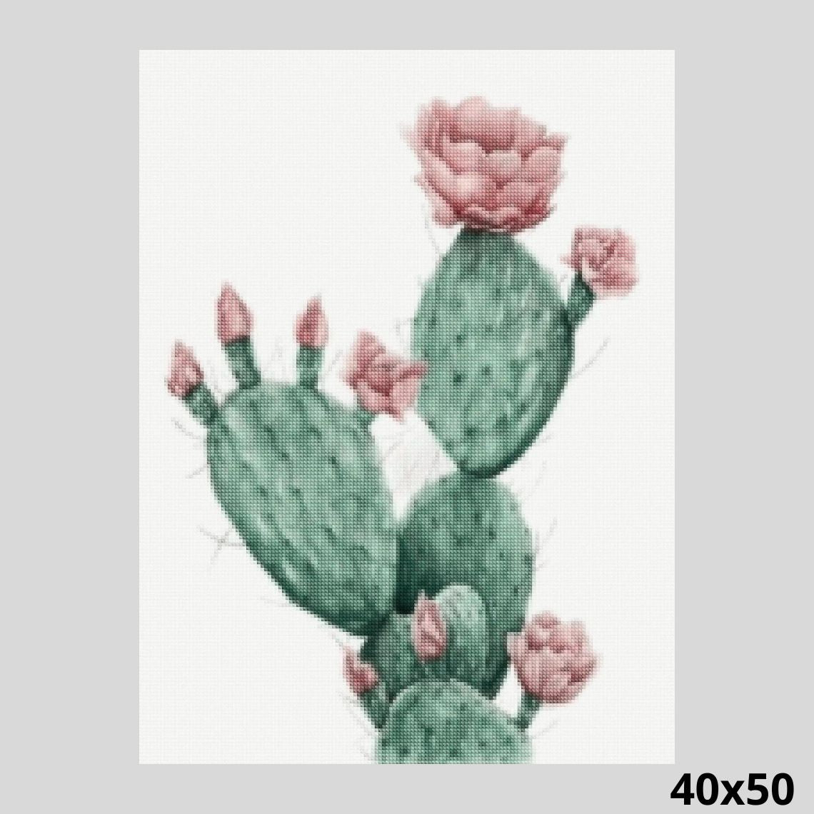 Opuntia Cactus 40x50 - Diamond Painting