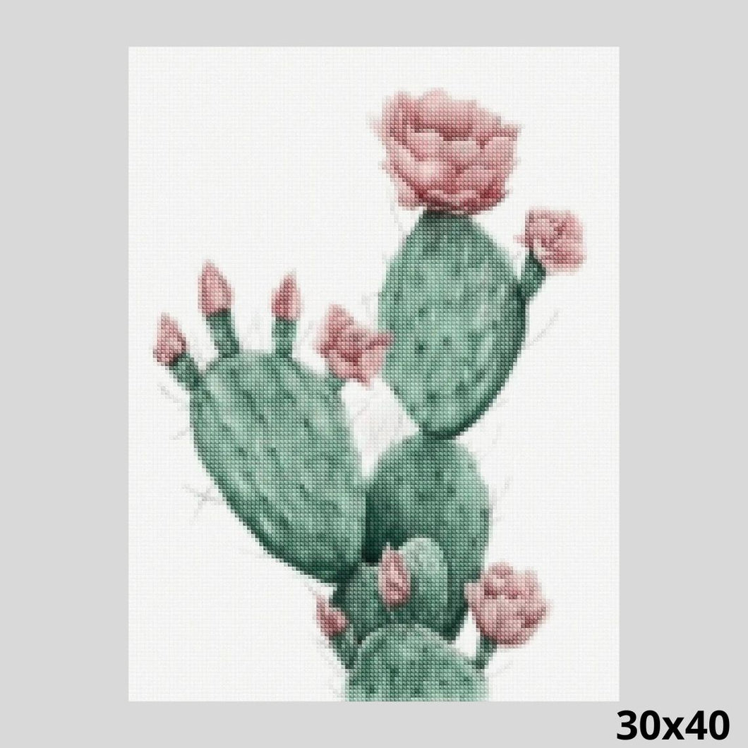 Opuntia Cactus 30x40 - Diamond Painting