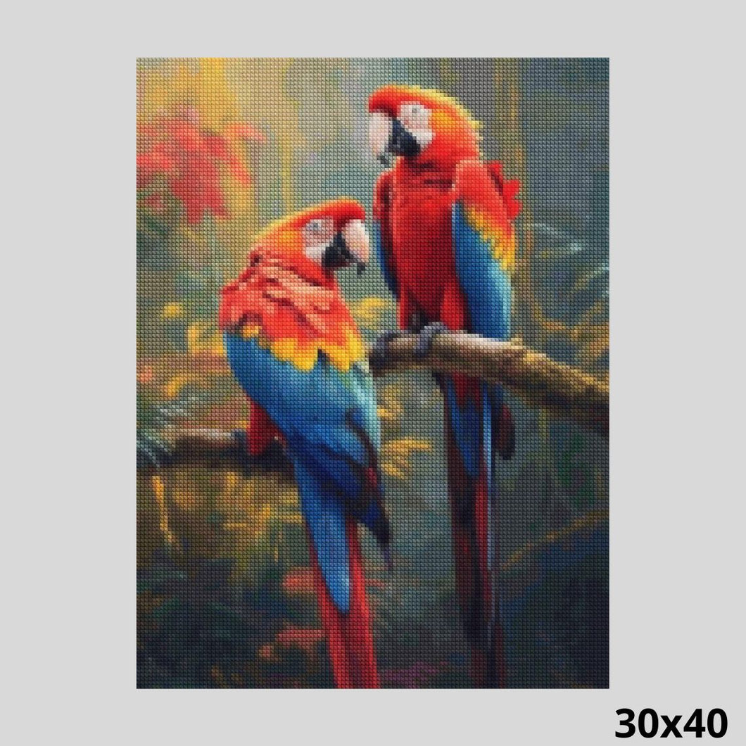 Parrots 30x40 Diamond Painting