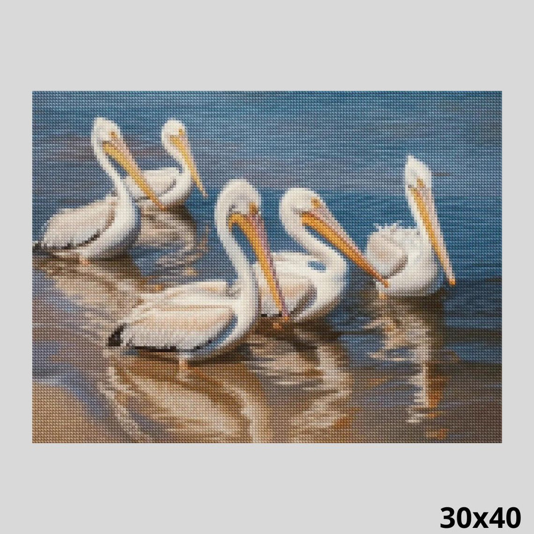 Pelicans 30x40 Diamond Painting