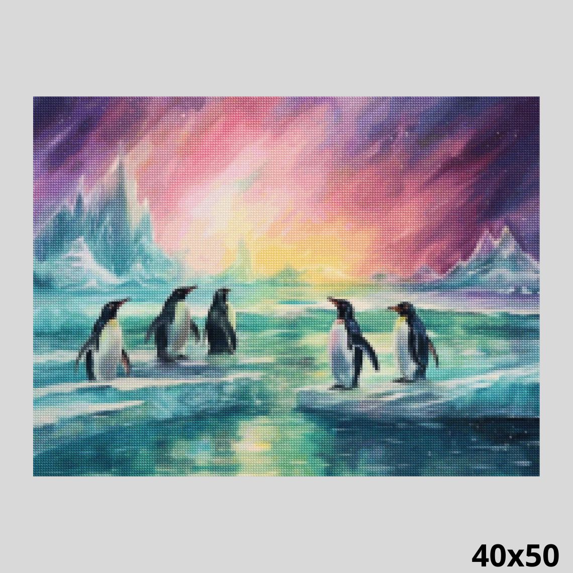 Penguins Meeting 40x50 - Diamond Art World