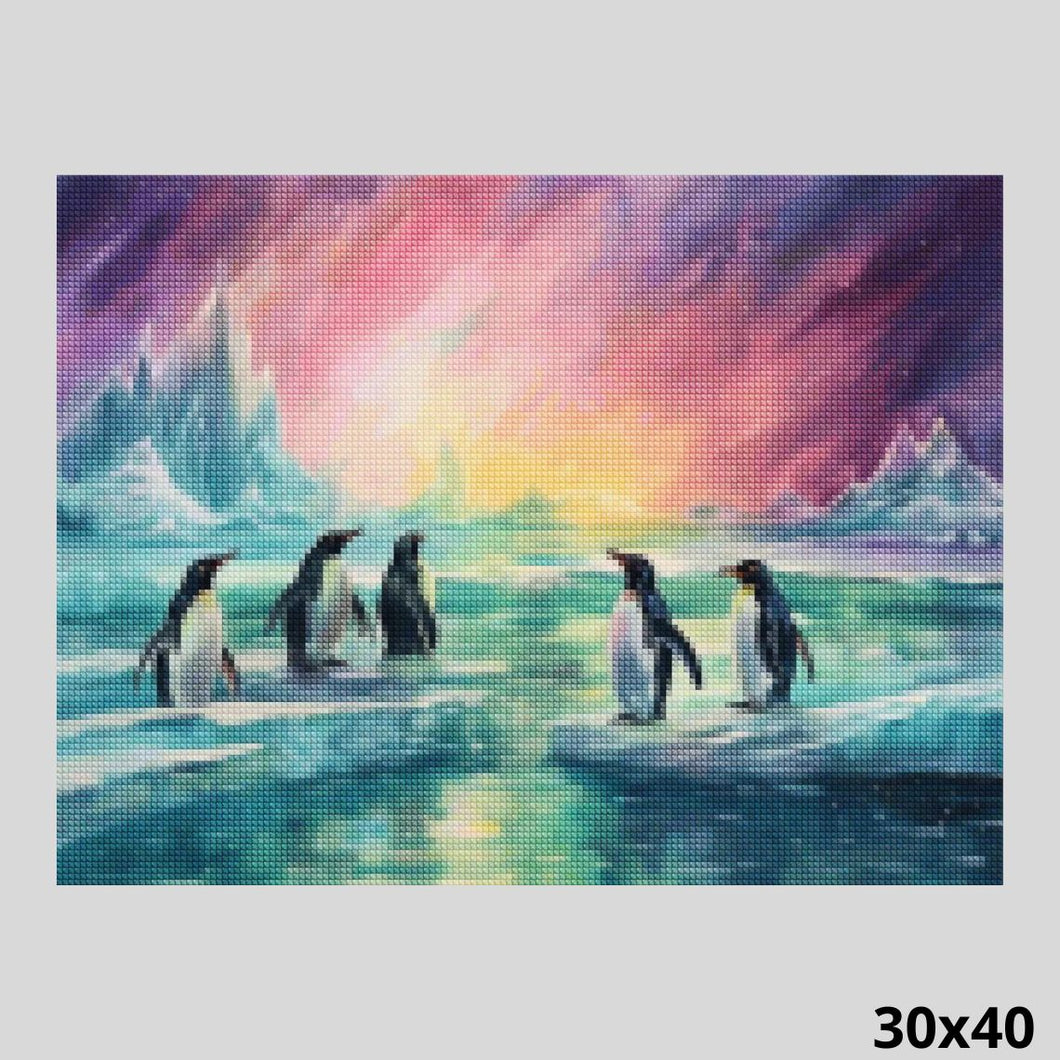 Penguins Meeting 30x40 - Diamond Art World
