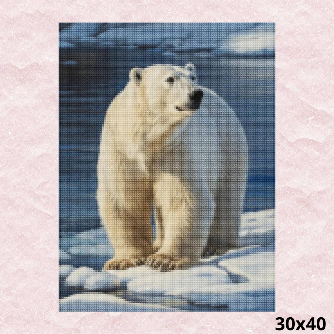 Polar Bear 30x40 - Diamond Painting