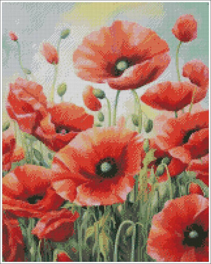 Beautiful Poppy Flowers - Diamond Art