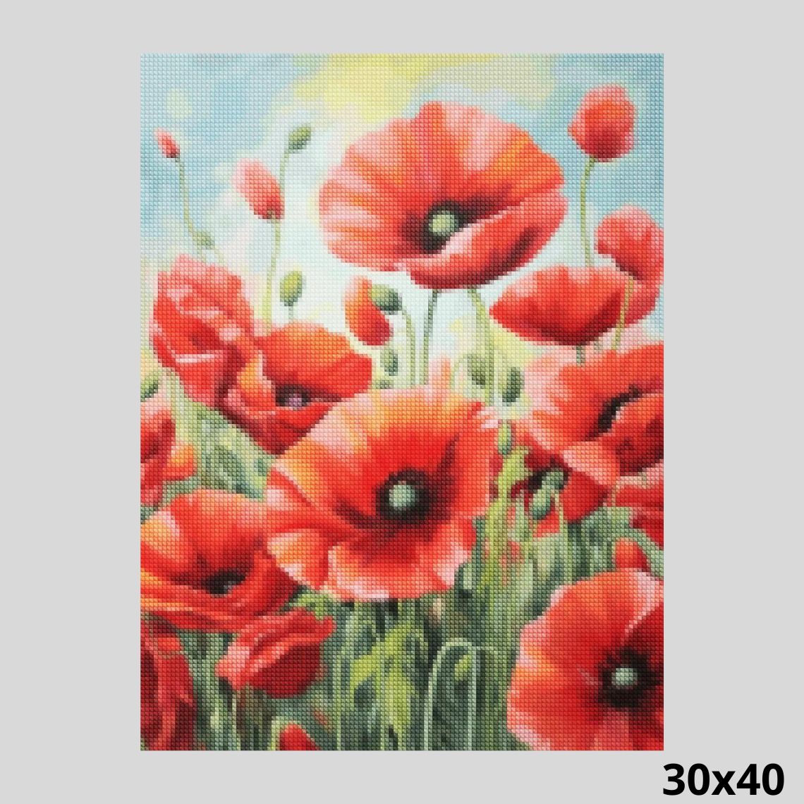 Poppy red 30x40 - Diamond Painting