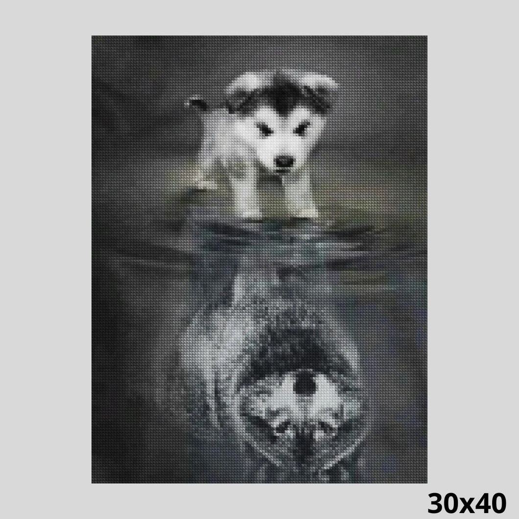 Puppy Reflection 30x40 - Diamond Painting