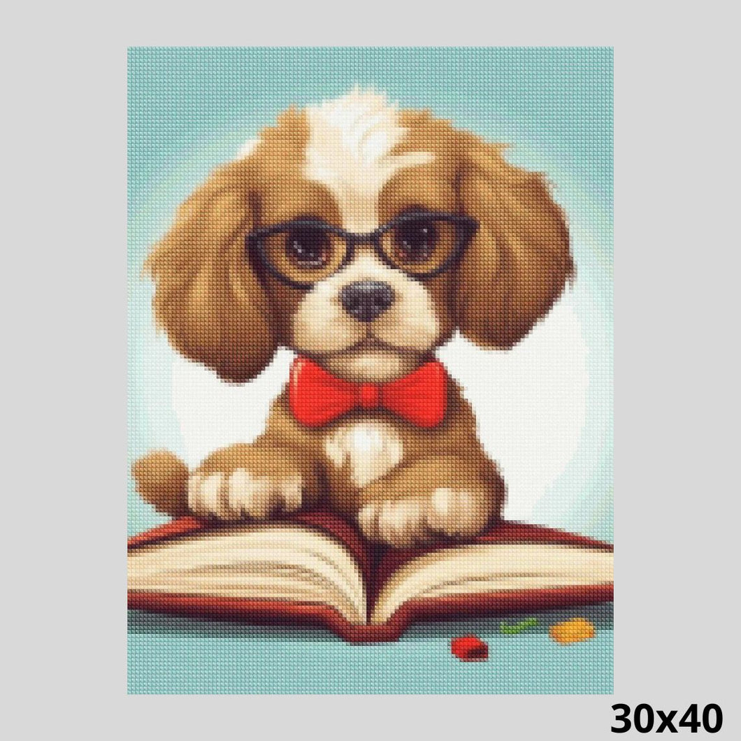 Dog Reading Book 30x40 Diamond Art World