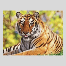 Load image into Gallery viewer, Resting Tiger - Diamond Art World
