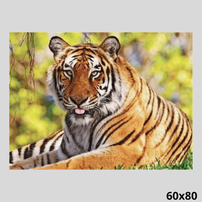 Resting Tiger 60x80 - Diamond Art World