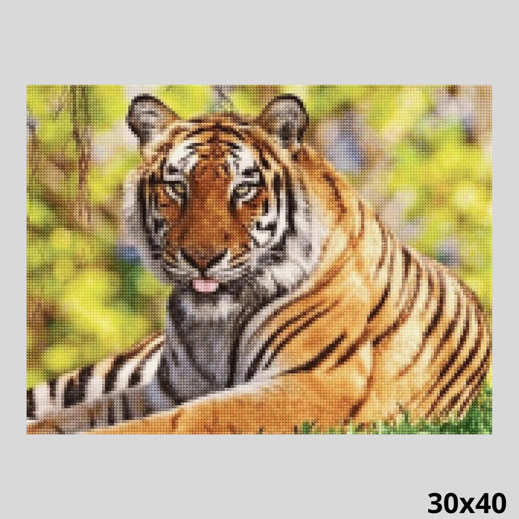 Resting Tiger 30x40 - Diamond Art World