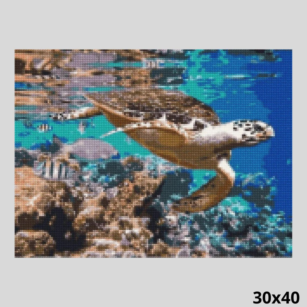 Sea Turtle 30x40 - Diamond Art World