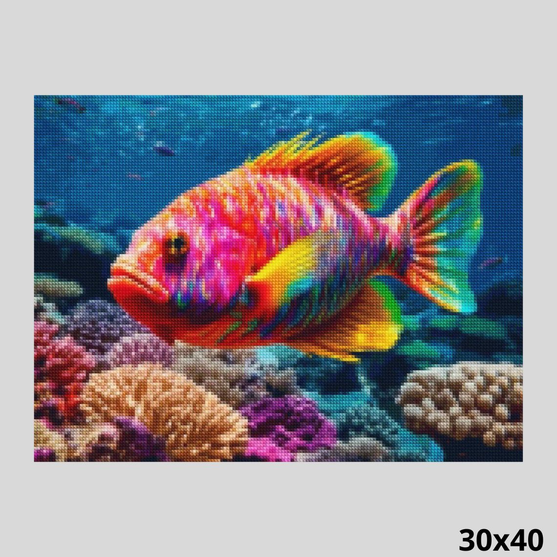 Tropical Fish 30x40 Diamond Painting