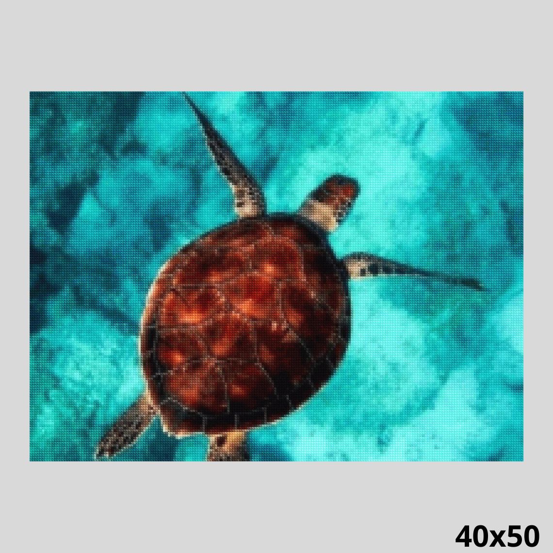 Turtle in Sea 40x50 - Diamond Art World
