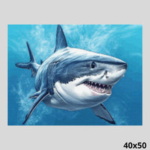 Load image into Gallery viewer, White Shark 40x50 - Diamond Art World
