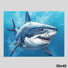 Load image into Gallery viewer, White Shark 30x40 - Diamond Art World
