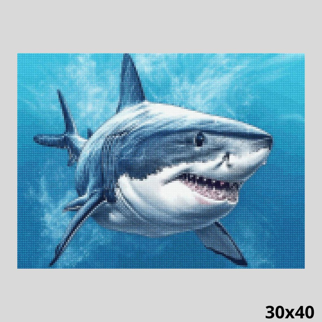 White Shark 30x40 - Diamond Art World