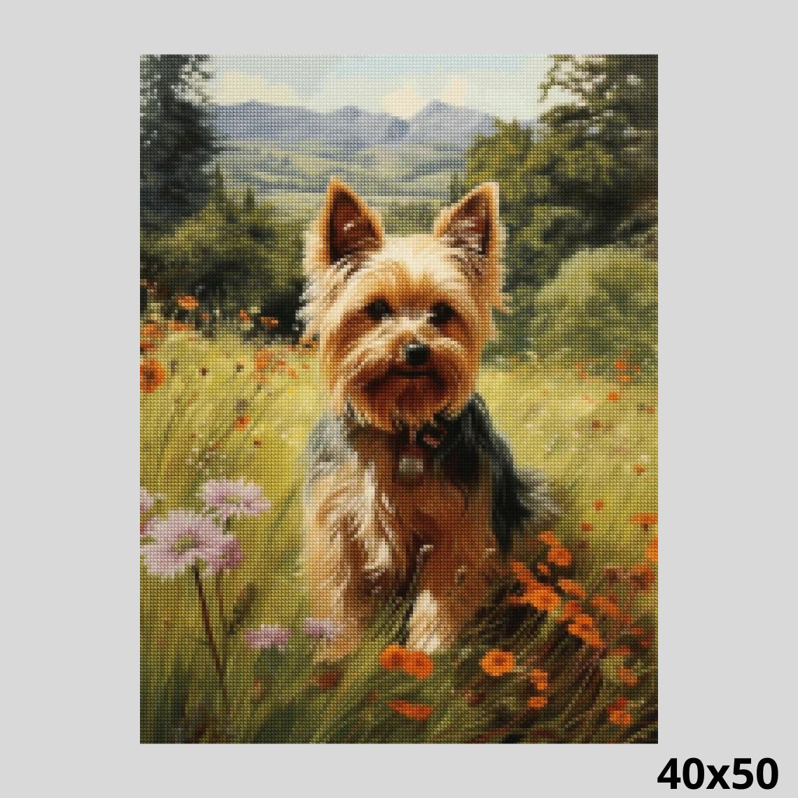 Yorkie in Meadow 40x50 - Diamond Painting