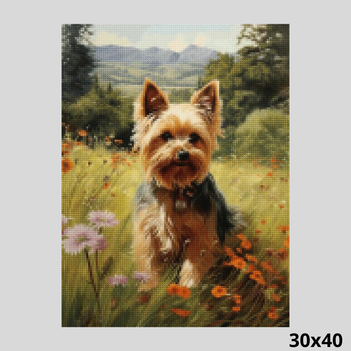 Yorkie in Meadow 30x40 - Diamond Painting