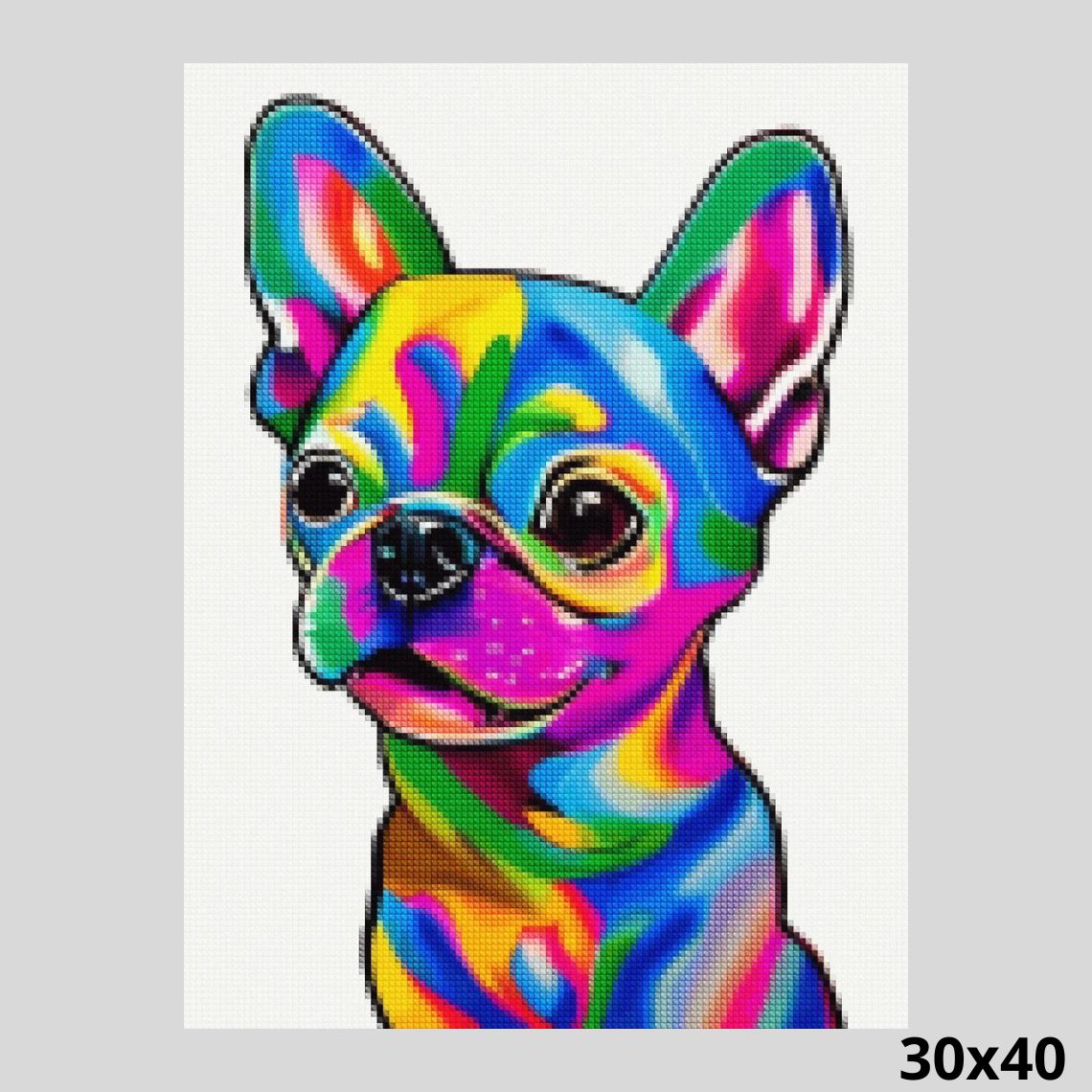 Colorful Chihuahua 30x40 Diamond Painting