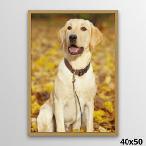 Dog Custom Diamond Painting 40x50