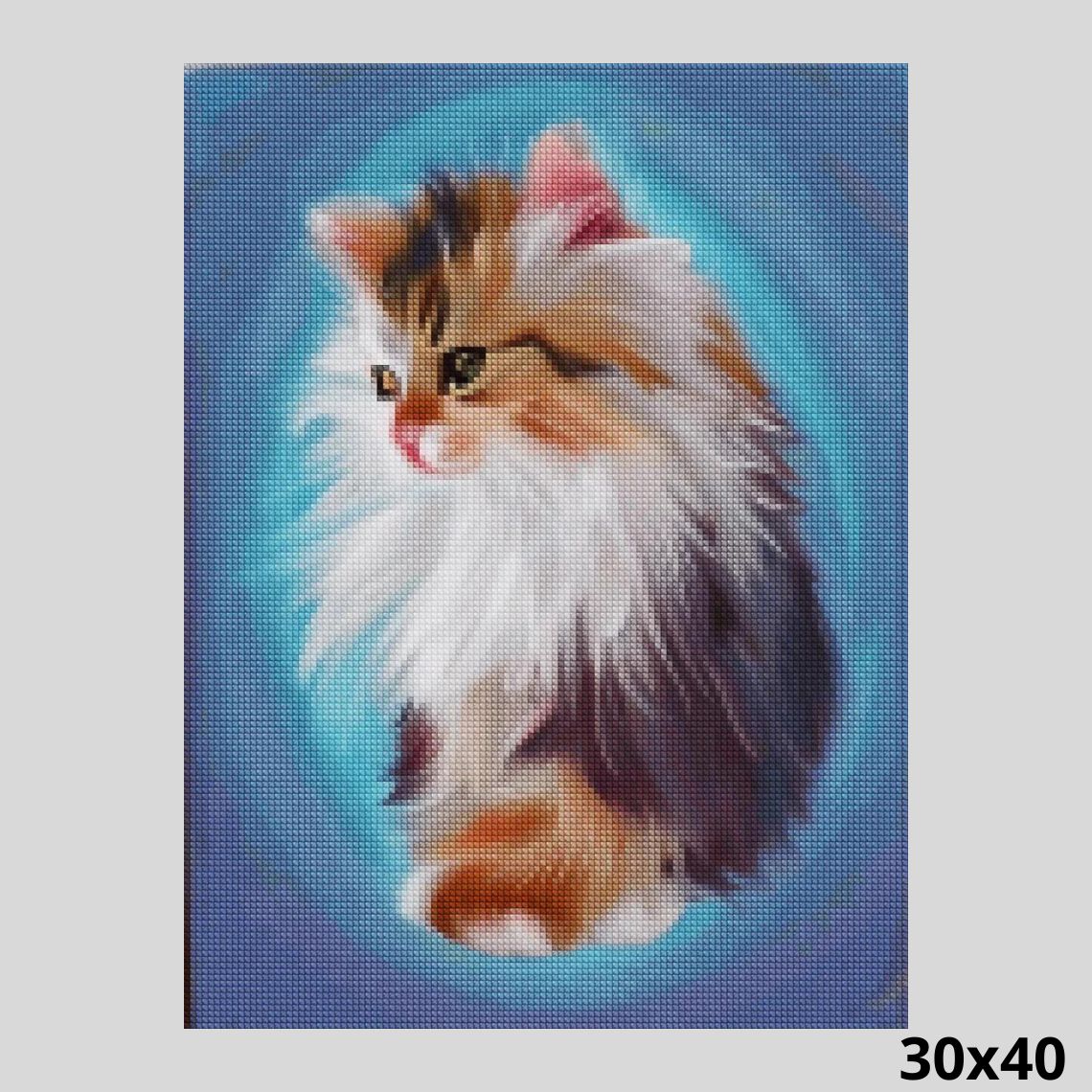 Fluffy Cat 30x40 Diamond Painting