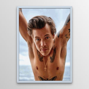 Harry Styles Diamond Painting