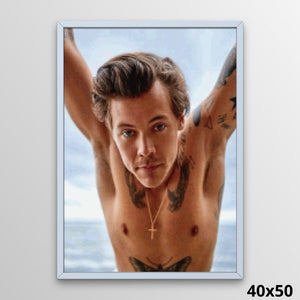 Harry Styles 40x50 Diamond Painting