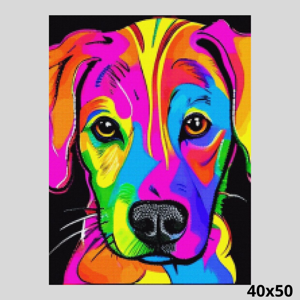 Psychedelic Dog 40x50 Diamond Painting