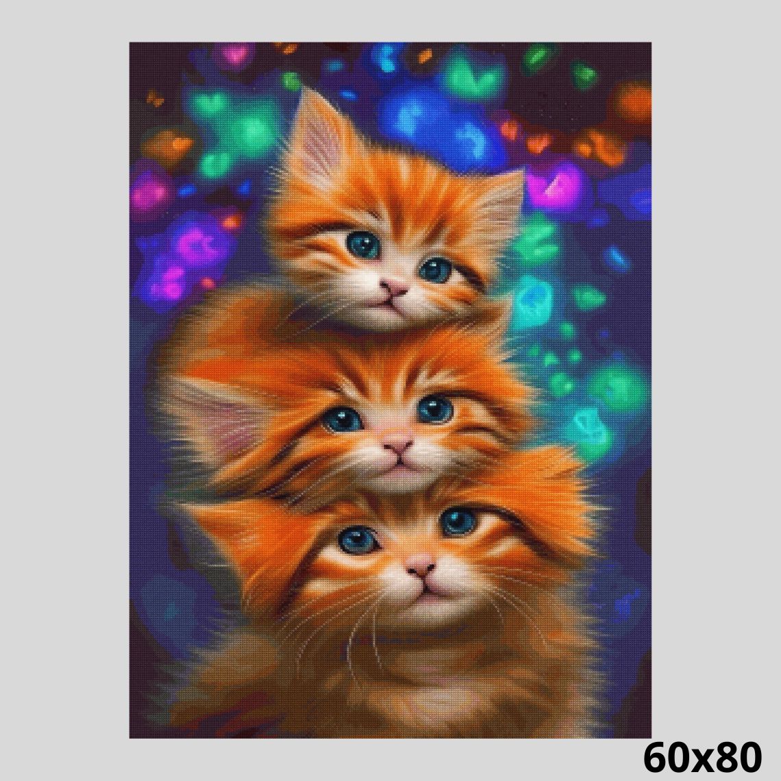 Cute Little Kitties 60x80 Paint with Diamonds