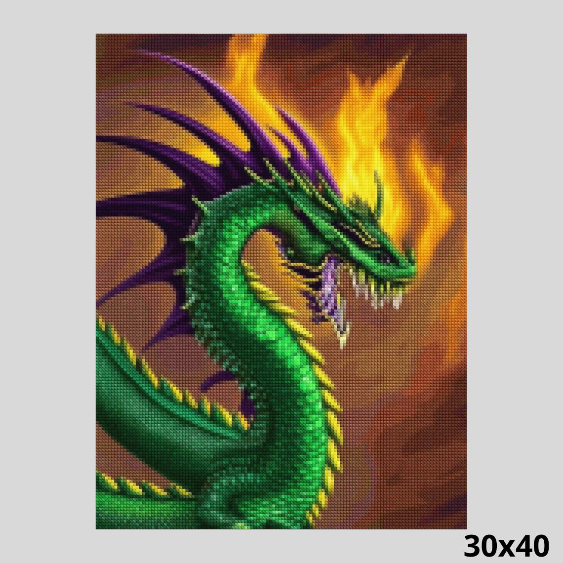 Green Dragon Breathing Fire 30x40 Diamond Art
