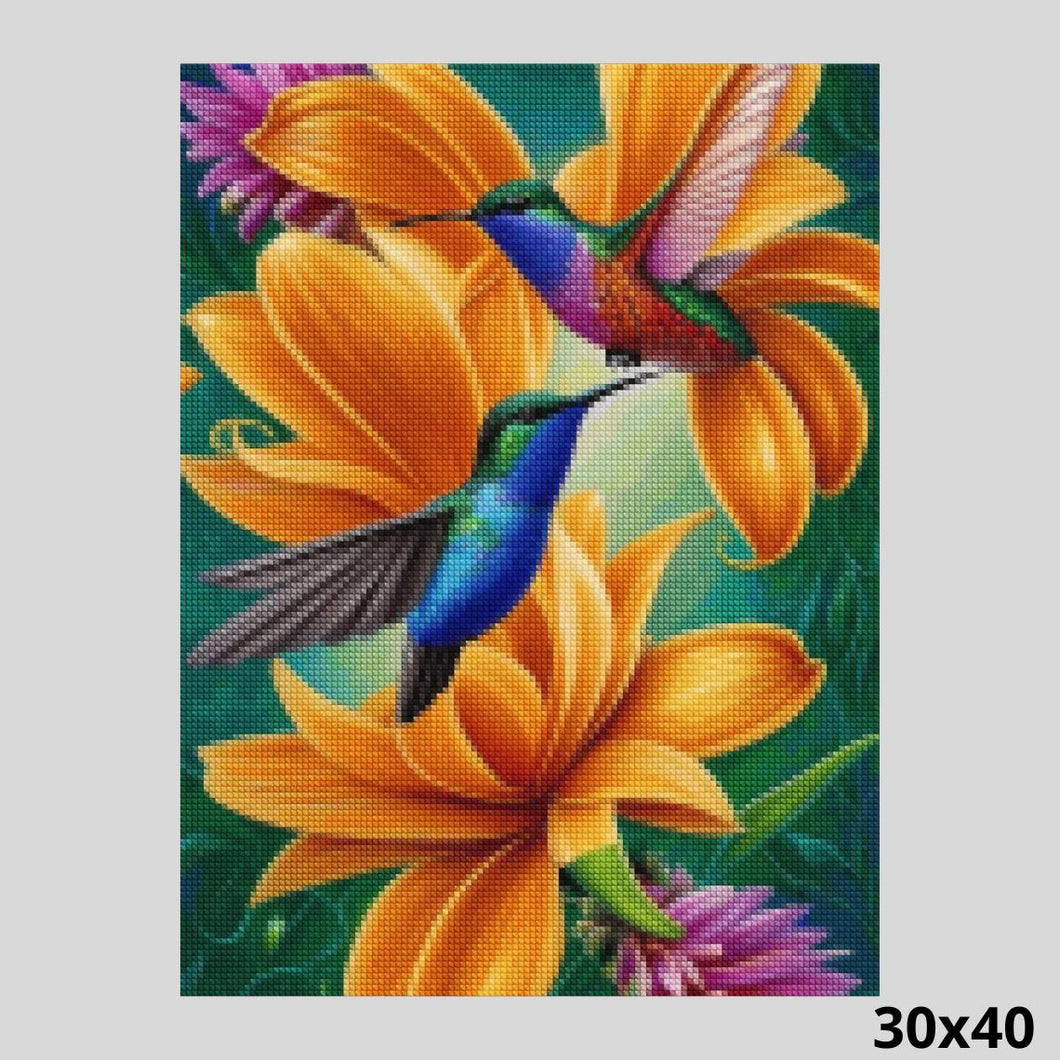 Magical Hummingbirds 30x40 Diamond Painting