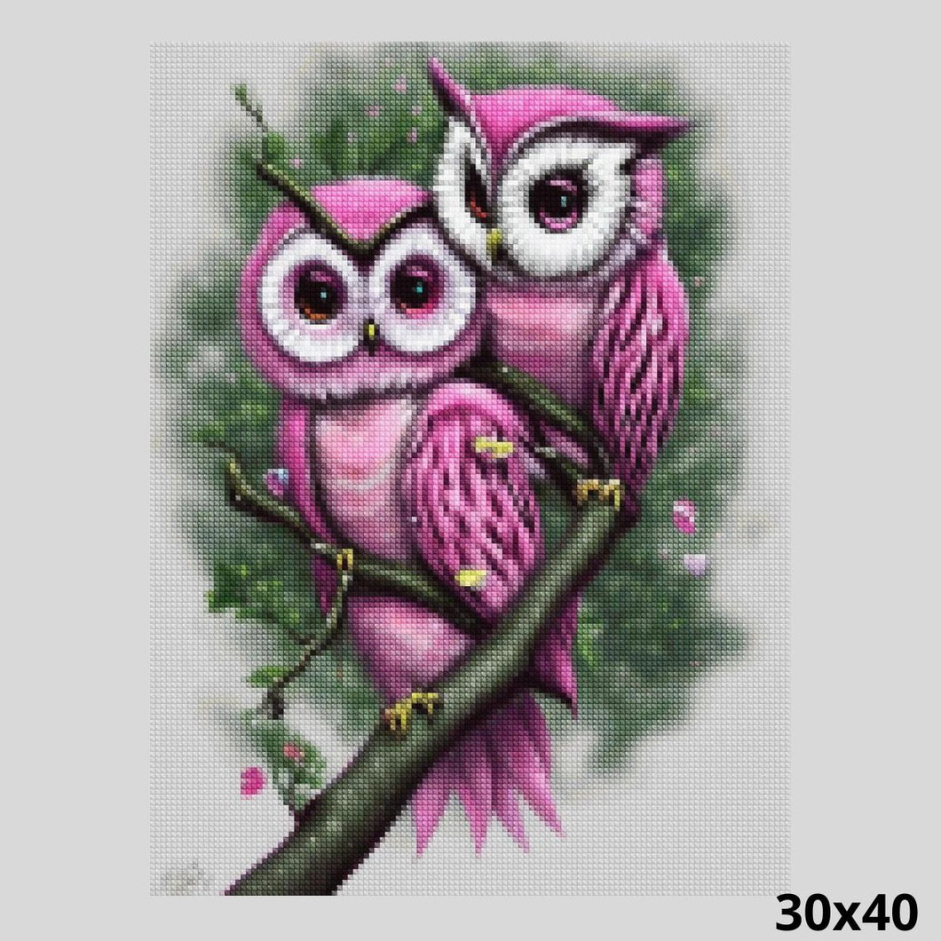 Pink Pair of Owls 30x40 Diamond Painting