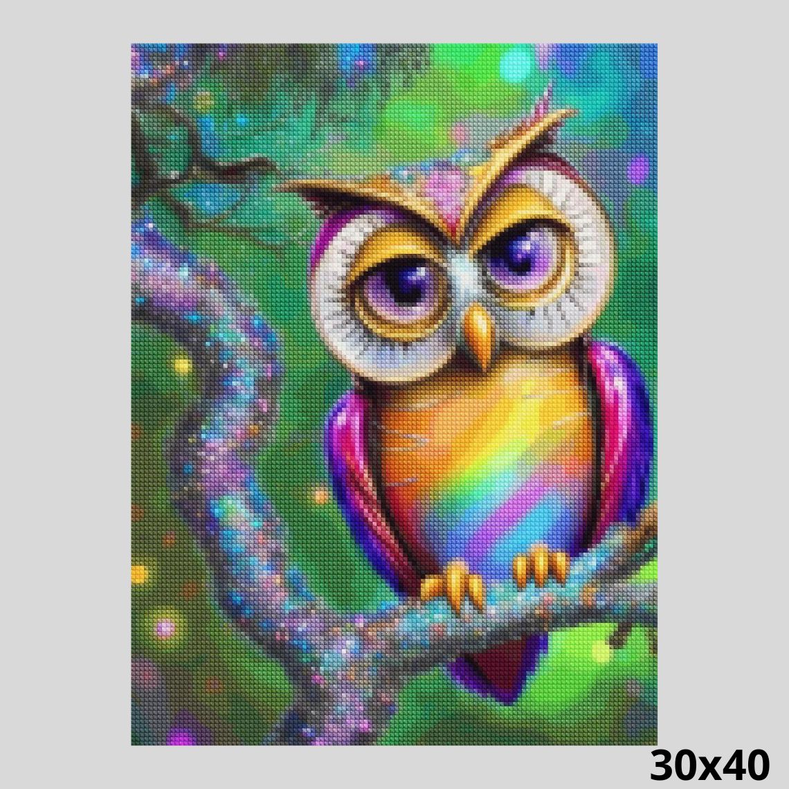 Rainbow Colored Owl 30x40 Diamond Painting