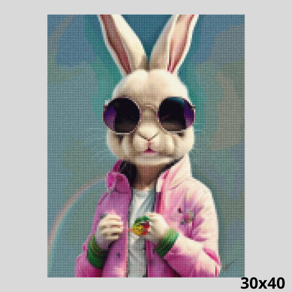 Rock Star Rabbit 30x40 Diamond Painting